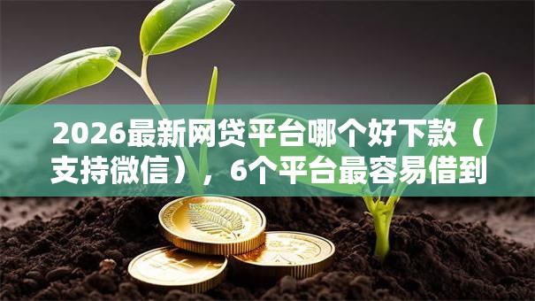 2026最新网贷平台哪个好下款(支持微信),6个平台最容易借到钱的无私分享 2026最新网贷平台哪个好下款(支持微信),6个平台最容易借到钱的无私分享