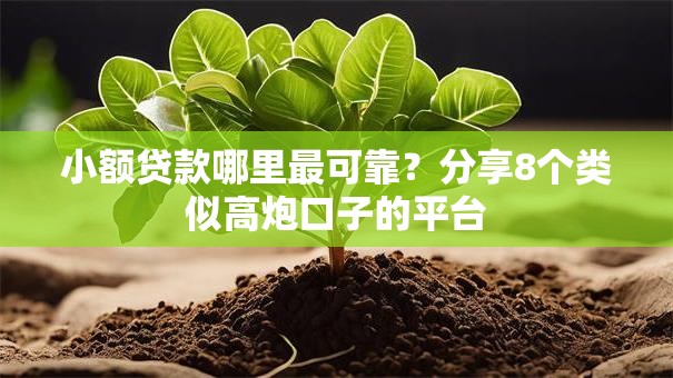 小额贷款哪里最可靠?分享8个类似高炮口子的平台 小额贷款哪里最可靠?分享8个类似高炮口子的平台