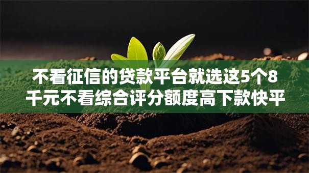 不看征信的贷款平台就选这5个8千元不看综合评分额度高下款快平台