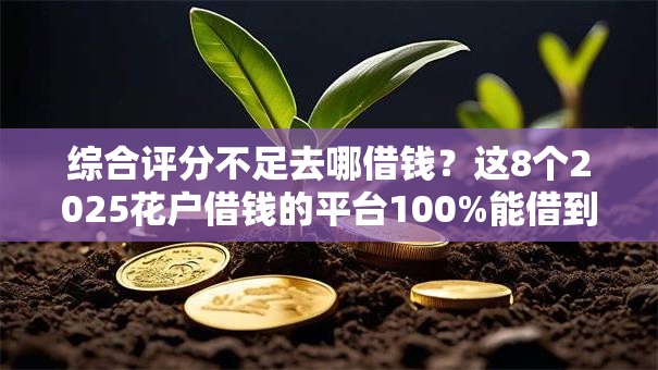 综合评分不足去哪借钱?这8个2025花户借钱的平台100%能借到值得一试 综合评分不足去哪借钱?这8个2025花户借钱的平台100%能借到值得一试