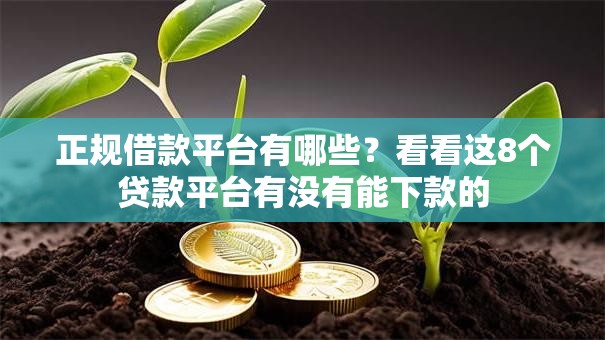 正规借款平台有哪些?看看这8个贷款平台有没有能下款的 正规借款平台有哪些?看看这8个贷款平台有没有能下款的