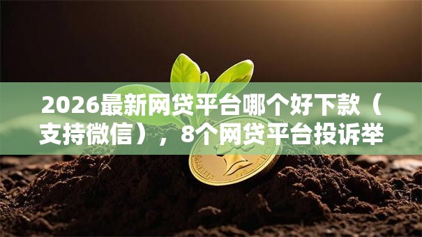 2026最新网贷平台哪个好下款（支持微信），8个网贷平台投诉举报电话无私分享