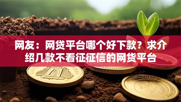 网友:网贷平台哪个好下款?求介绍几款不看征征信的网货平台 网友:网贷平台哪个好下款?求介绍几款不看征征信的网货平台