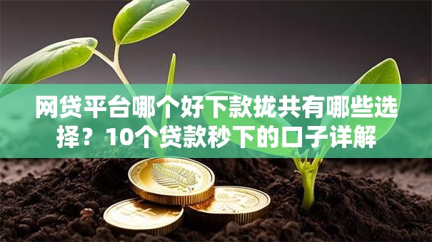 网贷平台哪个好下款拢共有哪些选择？10个贷款秒下的口子详解