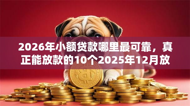 2026年小额贷款哪里最可靠,真正能放款的10个2025年12月放水口子推荐 2026年小额贷款哪里最可靠,真正能放款的10个2025年12月放水口子推荐
