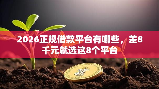 2026正规借款平台有哪些，差8千元就选这8个平台