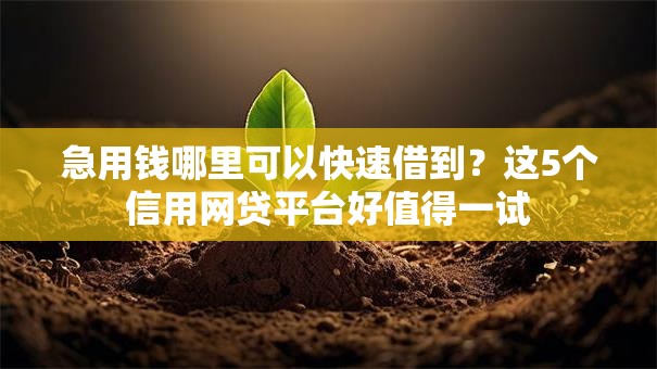 急用钱哪里可以快速借到?这5个信用网贷平台好值得一试 急用钱哪里可以快速借到?这5个信用网贷平台好值得一试