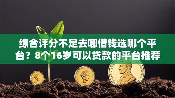 综合评分不足去哪借钱选哪个平台?8个16岁可以贷款的平台推荐 综合评分不足去哪借钱选哪个平台?8个16岁可以贷款的平台推荐