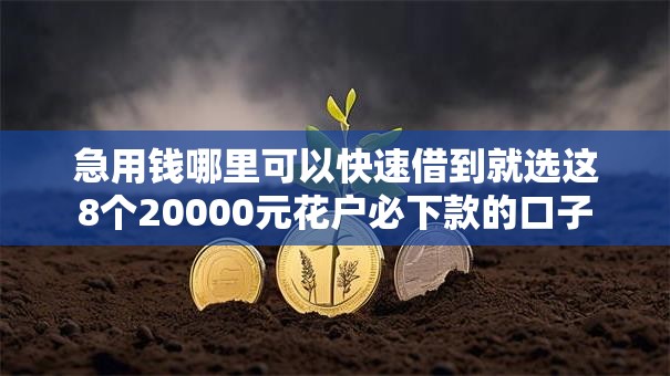 急用钱哪里可以快速借到就选这8个20000元花户必下款的口子