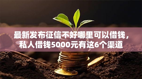 最新发布征信不好哪里可以借钱，私人借钱5000元有这6个渠道