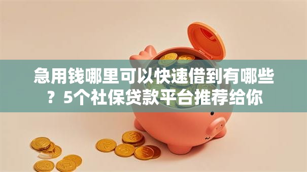 急用钱哪里可以快速借到有哪些？5个社保贷款平台推荐给你