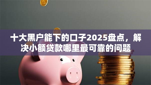 十大黑户能下的口子2025盘点，解决小额贷款哪里最可靠的问题