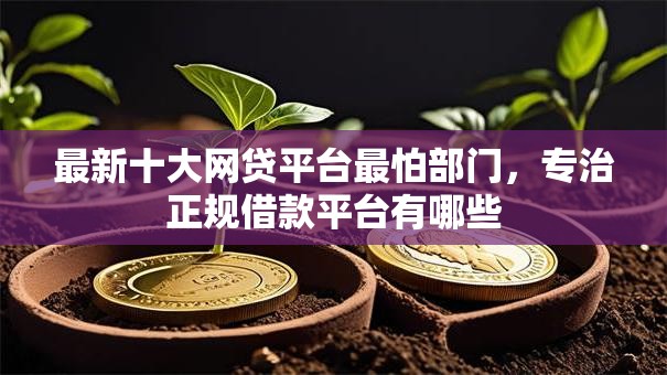 最新十大网贷平台最怕部门，专治正规借款平台有哪些