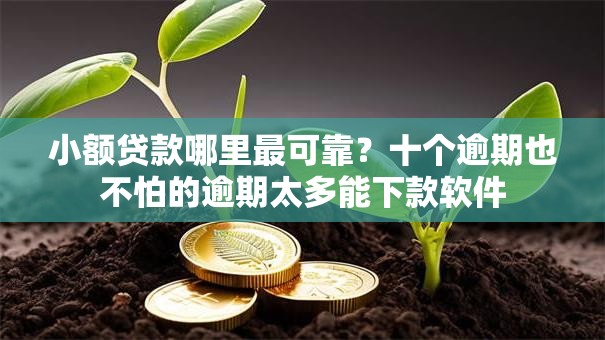 小额贷款哪里最可靠？十个逾期也不怕的逾期太多能下款软件