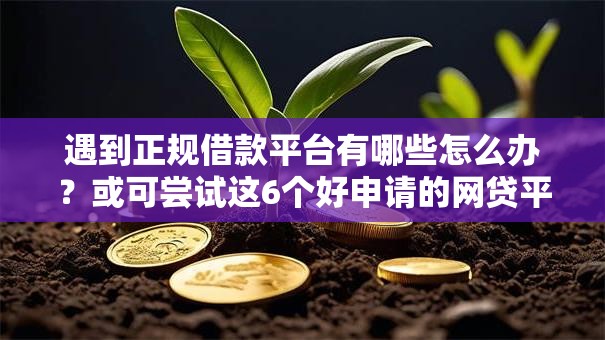遇到正规借款平台有哪些怎么办？或可尝试这6个好申请的网贷平台