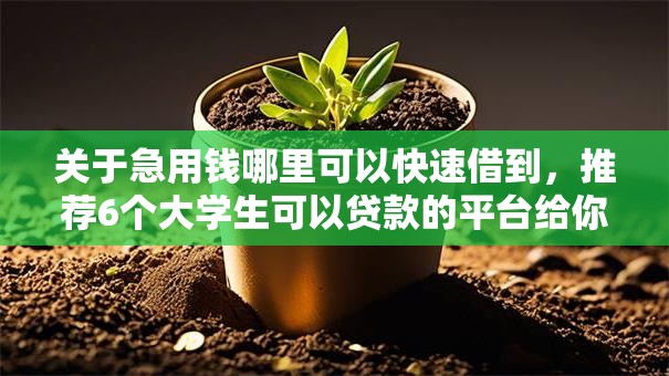 关于急用钱哪里可以快速借到，推荐6个大学生可以贷款的平台给你