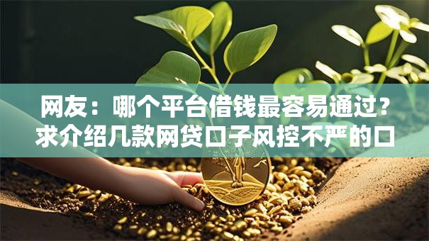 网友：哪个平台借钱最容易通过？求介绍几款网贷口子风控不严的口子