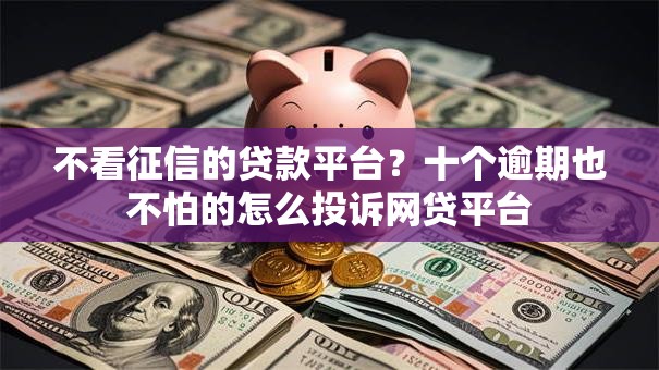 不看征信的贷款平台？十个逾期也不怕的怎么投诉网贷平台