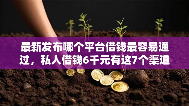 最新发布哪个平台借钱最容易通过，私人借钱6千元有这7个渠道