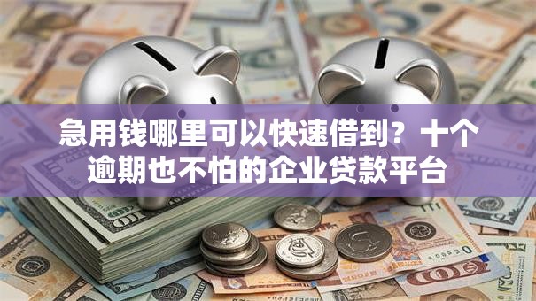 急用钱哪里可以快速借到？十个逾期也不怕的企业贷款平台