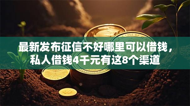 最新发布征信不好哪里可以借钱，私人借钱4千元有这8个渠道