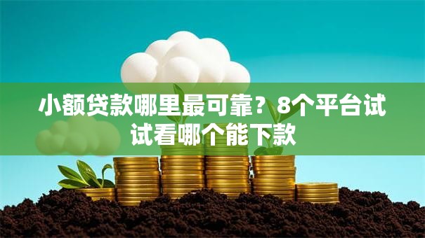 小额贷款哪里最可靠？8个平台试试看哪个能下款