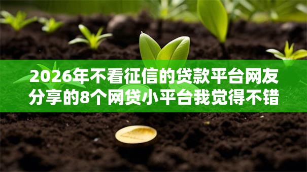 2026年不看征信的贷款平台网友分享的8个网贷小平台我觉得不错！
