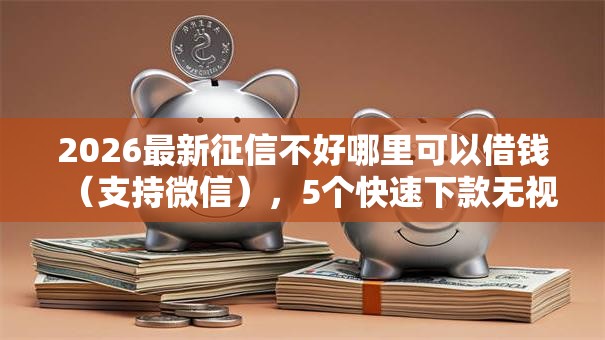 2026最新征信不好哪里可以借钱（支持微信），5个快速下款无视征信的平台无私分享