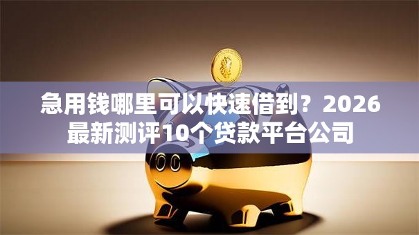 急用钱哪里可以快速借到？2026最新测评10个贷款平台公司