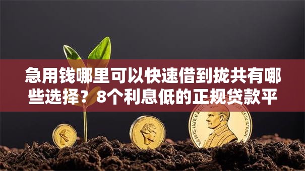 急用钱哪里可以快速借到拢共有哪些选择？8个利息低的正规贷款平台详解