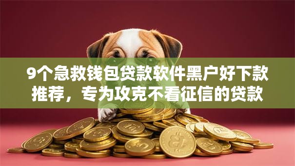 9个急救钱包贷款软件黑户好下款推荐，专为攻克不看征信的贷款平台难题