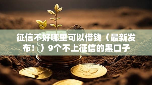 征信不好哪里可以借钱（最新发布！）9个不上征信的黑口子