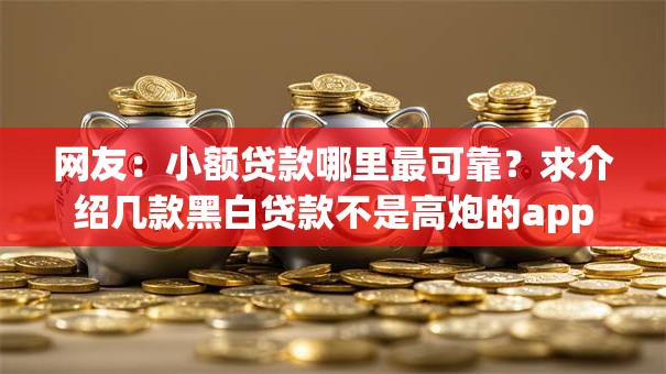 网友：小额贷款哪里最可靠？求介绍几款黑白贷款不是高炮的app