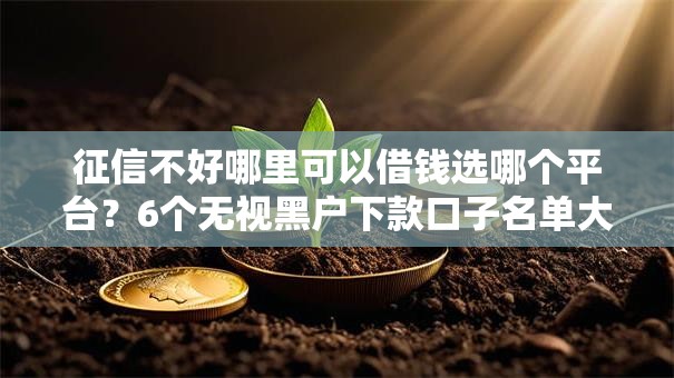 征信不好哪里可以借钱选哪个平台？6个无视黑户下款口子名单大全推荐