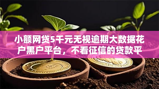 小额网贷5千元无视逾期大数据花户黑户平台，不看征信的贷款平台的6个平台介绍