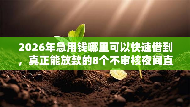 2026年急用钱哪里可以快速借到,真正能放款的8个不审核夜间直接放款的网贷平台推荐 2026年急用钱哪里可以快速借到,真正能放款的8个不审核夜间直接放款的网贷平台推荐