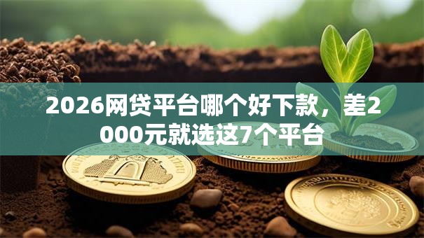 2026网贷平台哪个好下款,差2000元就选这7个平台 2026网贷平台哪个好下款,差2000元就选这7个平台