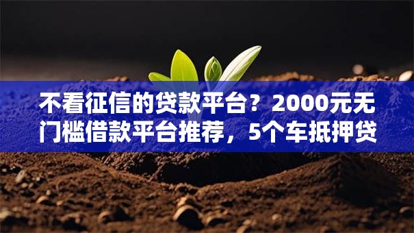 不看征信的贷款平台?2000元无门槛借款平台推荐,5个车抵押贷款平台盘点 不看征信的贷款平台?2000元无门槛借款平台推荐,5个车抵押贷款平台盘点