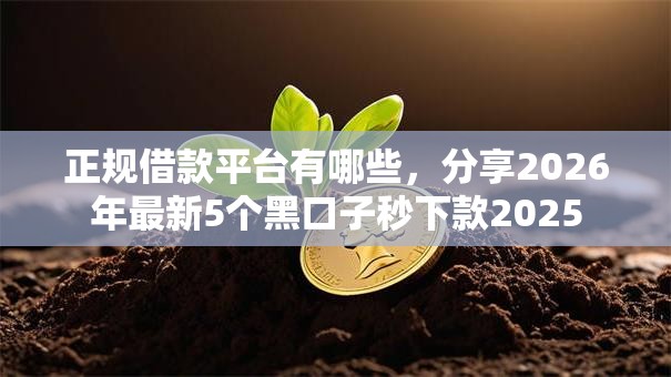 正规借款平台有哪些，分享2026年最新5个黑口子秒下款2025
