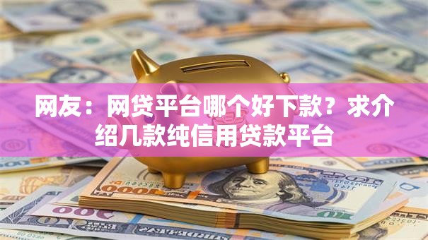 网友：网贷平台哪个好下款？求介绍几款纯信用贷款平台