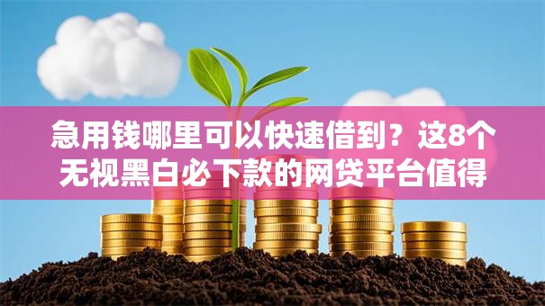 急用钱哪里可以快速借到?这8个无视黑白必下款的网贷平台值得一试 急用钱哪里可以快速借到?这8个无视黑白必下款的网贷平台值得一试