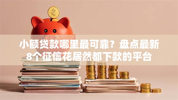 小额贷款哪里最可靠?盘点最新8个征信花居然都下款的平台 小额贷款哪里最可靠?盘点最新8个征信花居然都下款的平台