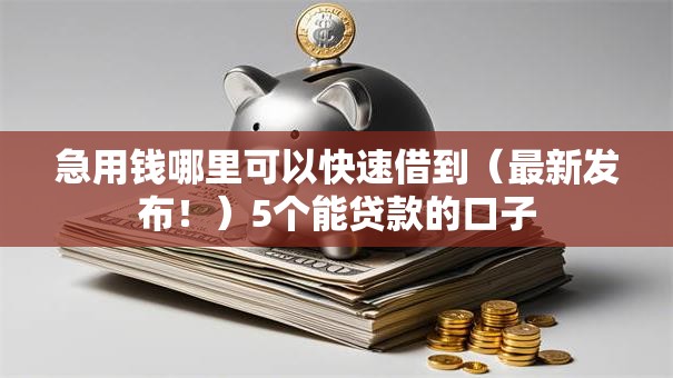 急用钱哪里可以快速借到（最新发布！）5个能贷款的口子