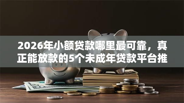 2026年小额贷款哪里最可靠,真正能放款的5个未成年贷款平台推荐 2026年小额贷款哪里最可靠,真正能放款的5个未成年贷款平台推荐