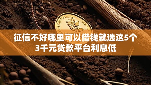 征信不好哪里可以借钱就选这5个3千元贷款平台利息低