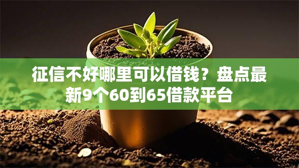 征信不好哪里可以借钱?盘点最新9个60到65借款平台 征信不好哪里可以借钱?盘点最新9个60到65借款平台