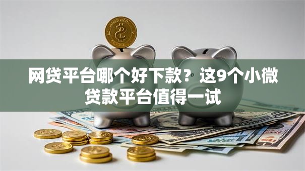 网贷平台哪个好下款？这9个小微贷款平台值得一试