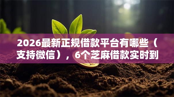 2026最新正规借款平台有哪些(支持微信),6个芝麻借款实时到账速借软件无私分享 2026最新正规借款平台有哪些(支持微信),6个芝麻借款实时到账速借软件无私分享