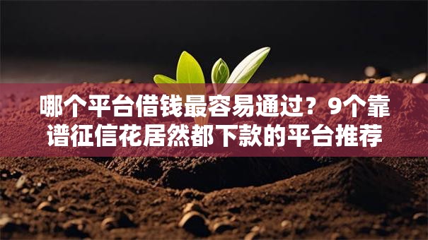 哪个平台借钱最容易通过？9个靠谱征信花居然都下款的平台推荐