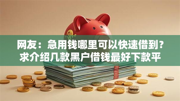 网友：急用钱哪里可以快速借到？求介绍几款黑户借钱最好下款平台